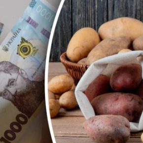 Доходность картофеля упала на 25-30%: эксперт разделял прогноз
