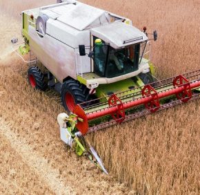 Сбор урожая 2025 года: Украина отстает от прошлогоднего темпа из -за погоды.