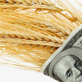 Экспорт зерна из Украины еще вдвое больше, чем в прошлом году Экспорт зерна из Украины еще вдвое больше, чем в прошлом году