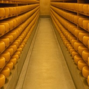 Цены на сыр в мире падают, спрос остается вялым