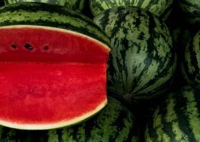 Цены на украинские арбузы: рынок в два раза дешевле, чем в магазинах Цены на украинские арбузы: рынок в два раза дешевле, чем в магазинах