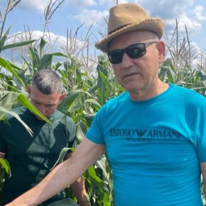 Фермер 18 лет выращивает рекордное разнообразие кукурузы