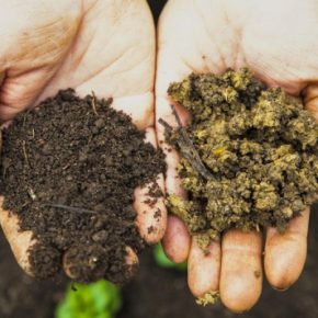 Фермеры объяснили, какие удобрения не могут быть смешаны