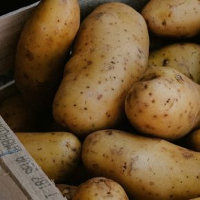 Какие овощи не следует хранить вместе: советы экспертов Какие овощи не следует хранить вместе: советы экспертов