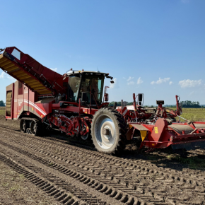 Koninental собирает картофель с самым современным комбинатом в Украине Koninental собирает картофель с самым современным комбинатом в Украине