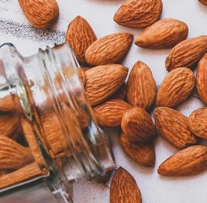 Многообещающий миндаль: украинские фермеры изучают испанские сорта