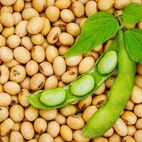 Отменить обязанности на экспорт сои из Аргентины - прямой удар по Украине