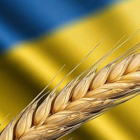 Соседи Украины в ЕС хотят создать фонд для защиты своих фермеров