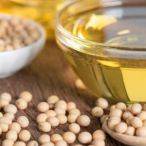 Всемирный экспорт соевой нефти в июле увеличился до более чем 1 миллиона тонн