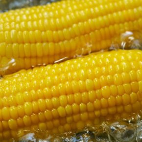 Украинская кукуруза остается дорогой, пока мировые цены падают