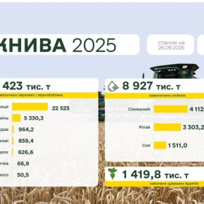 Украинские фермеры завершили сбор урожая пшеницы, ячменя и гороха