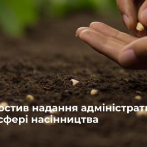 Правительство упростило административные услуги в области производства семян Правительство упростило административные услуги в области производства семян