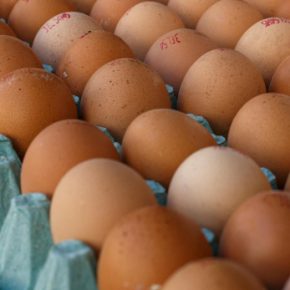 В августе Украина экспортировала почти 170 миллионов яиц