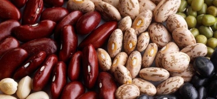 Агроном рассказал, зачем сажать в огороде фасоль