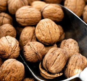 Аналитики назвали одну из самых перспективных экспортных культур Украины