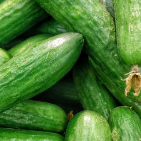Цена на огурец резко подскочила из-за ранних холодов