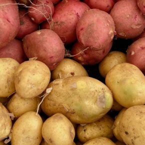 Цены на картофель в Украине упали до трехлетнего минимума