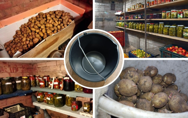 Знатоки рассказали, как избавиться от влаги в погребе