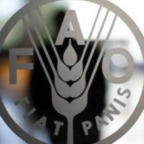 ФАО наградила молодых фермеров, которые создают сельскохозяйственный ландшафт региона