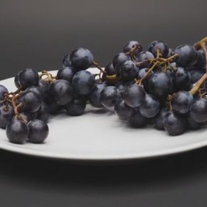 Японские учёные вывели новый сорт винограда