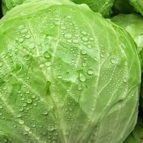 Капуста упала до копейки: что происходит на рынке