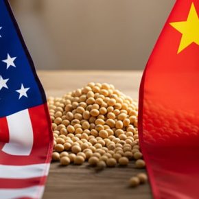 Китай открывает рынок для американской сои: стороны договорились