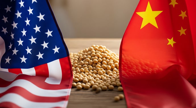 Китай открывает рынок для американской сои: стороны договорились