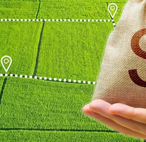 Доходы от земельного налога увеличились на 15%