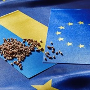 Новые квоты сократят экспорт сельскохозяйственной продукции в ЕС на $1,1 млрд ежегодно.