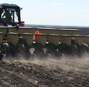 Озимая посевная 2025 года вышла на финишную прямую: засеяно 82% площадей