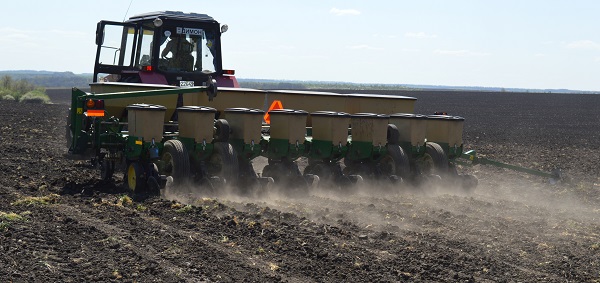 Озима позитивна 2025 выходит на финиш: засеяно 82% площадей