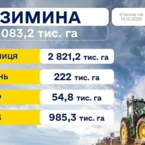 Зима в Украине уже засеяла более 4 млн га