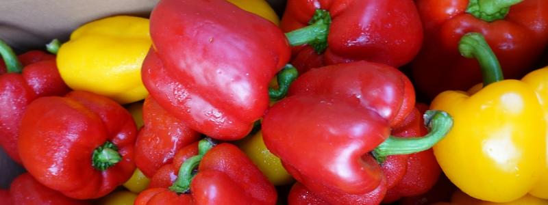Перец остается свежим до декабря: простые правила хранения