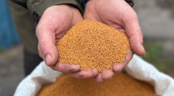 Рижиева нефть — новый игрок на рынке Украины