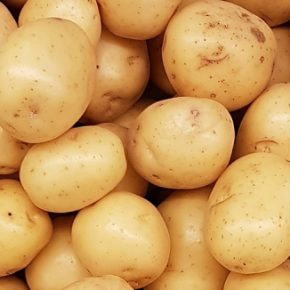 В Польше обвалились цены на картофель