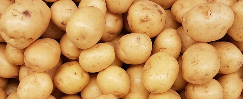 В Польше рухнули цены на картофель