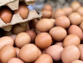 Украина стала крупнейшим поставщиком яиц в Великобритании