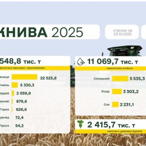 Украинские аграрии собрали более 31,5 млн. Тонн зерна и бобовых