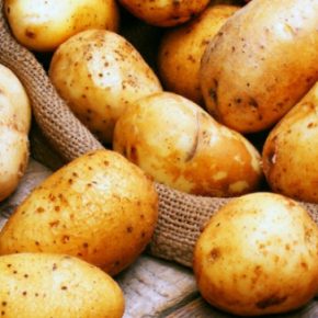 Украинский картофель не пустят в Европу