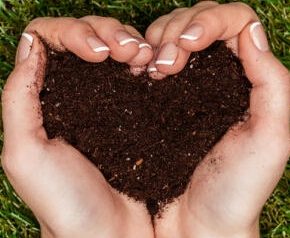 В Украине около 350 тысяч гектаров сельскохозяйственных земель имеют органический статус