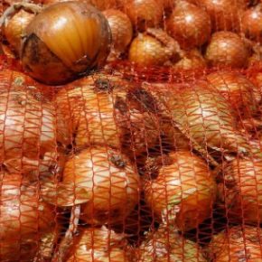 В Украине популярный продукт резко упал: такие цены не были 4 года.