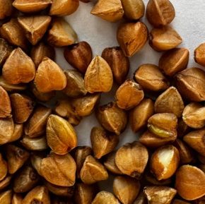 В Украине снижается урожай гречки: будет ли дефицит в следующем году?