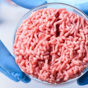 Европейский парламент запретил названия мяса в качестве растительных альтернатив