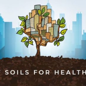 Здоровье почвы: в декабре пройдет IV Международная научно-практическая конференция