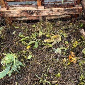 Эксперт рассказал, как «завести» компост до заморозков, чтобы к весне ветки сгнили.