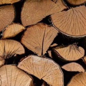Эксперт рассказал, какие дрова экономически выгоднее