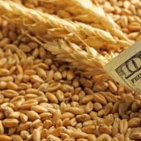 Экспорт украинского зерна достиг 11 млн тонн