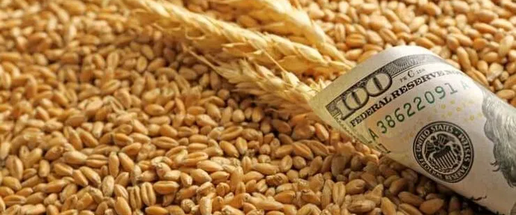 Экспорт украинского зерна достиг 11 млн тонн