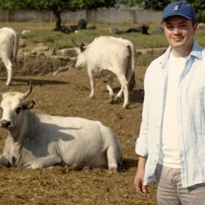 Фермер из Херсоншина продает коров через TikTok