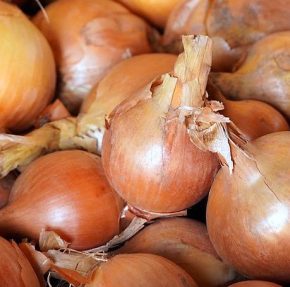 Второй год подряд аграрии летят с ценами на лук: ожидали 30-40 гривен, а получили 15 гривен